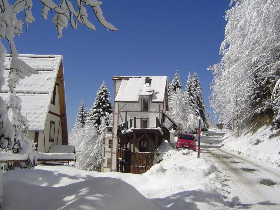 Studio Potocic Kopaonik Kültér fotó