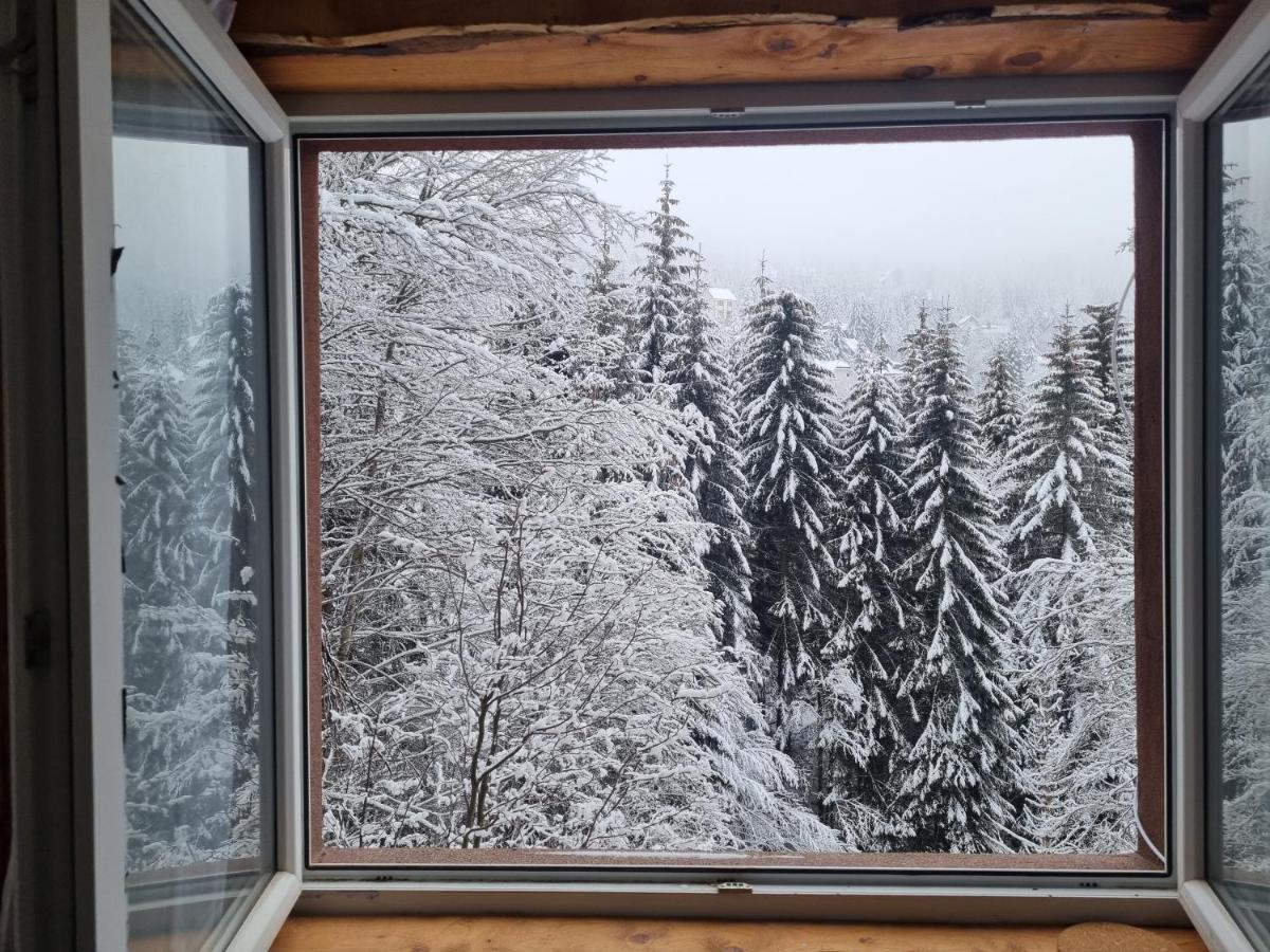 Studio Potocic Kopaonik Kültér fotó