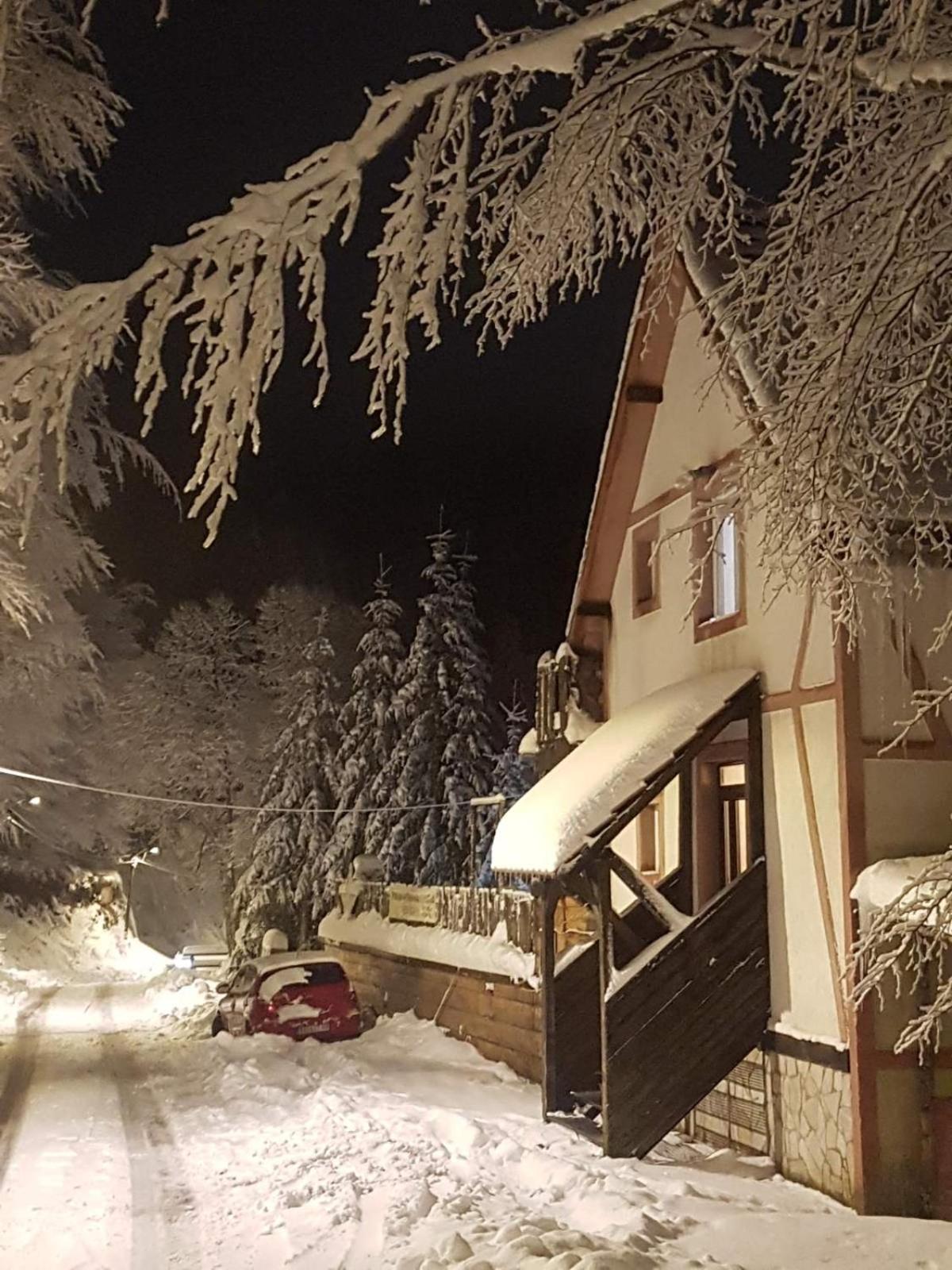 Studio Potocic Kopaonik Kültér fotó